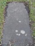 image of grave number 569954
